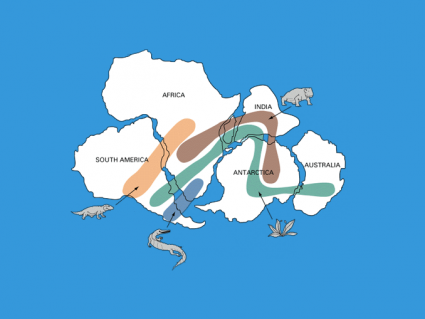 Pangea Fossils: Evidence of the Pangaea Supercontinent