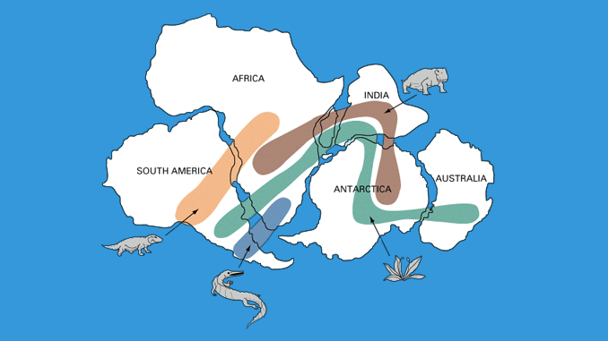 PANGEA FOSSILS: Evidence of the Pangaea Supercontinent - Earth How