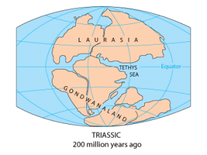 pangea map with continents labeled