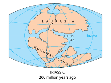 Continental Drift: A Tale of Moving Continents and Plate Tectonics ...