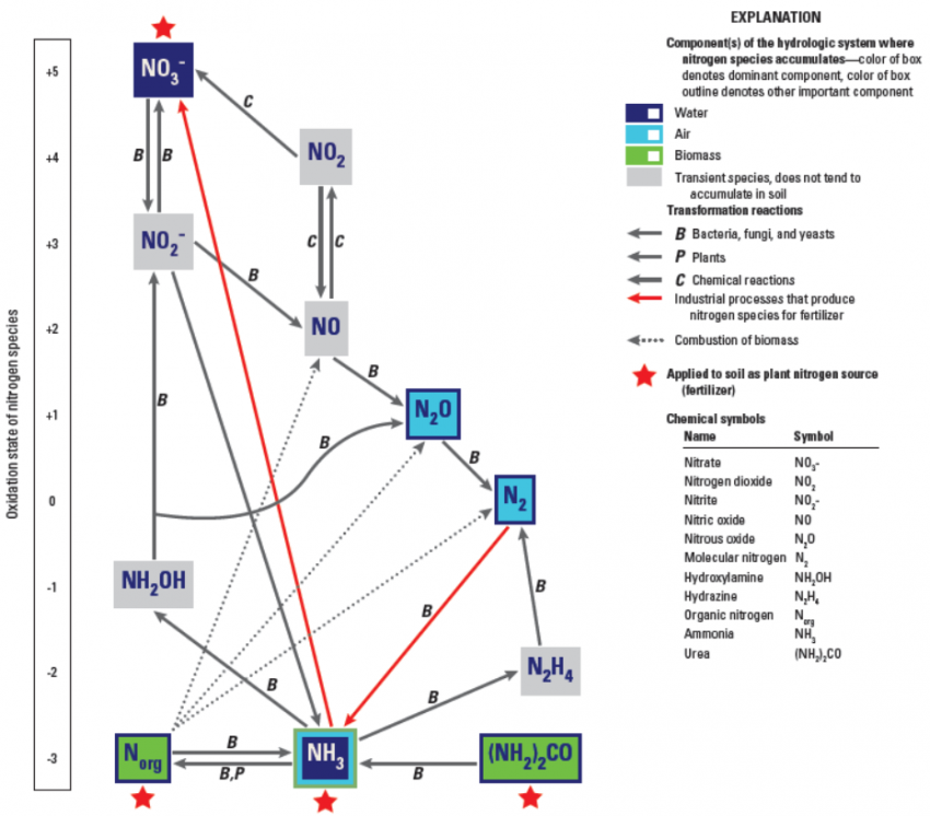 What Are The 4 Steps Of Nitrogen Cycle Earth How 7026