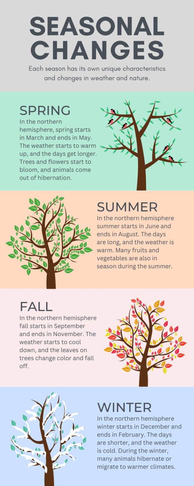 What are the characteristics of the seasons?