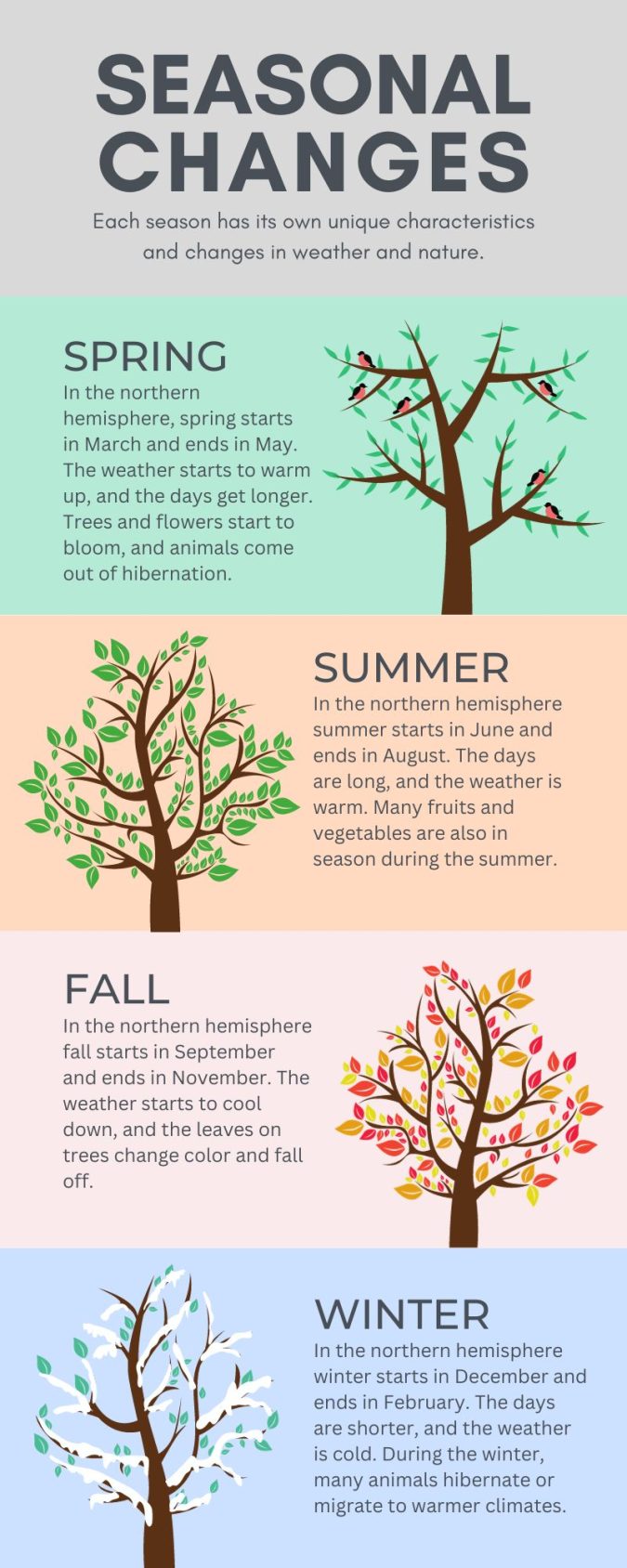 How to Find Out Your Color Season! – Infographic – The Shapsogh