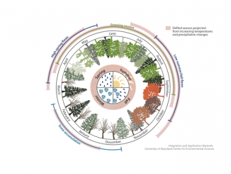Seasonal Patterns 4 Seasons Causes