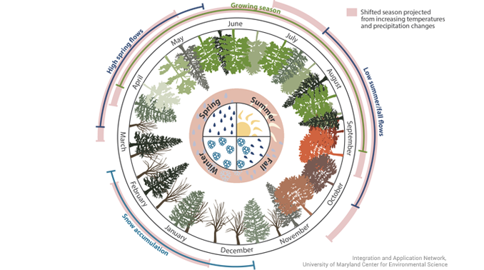 Seasonal Patterns 4 Seasons Causes