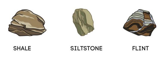 Sedimentary Rocks (Shale, Siltstone and Flint)