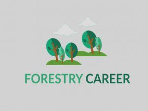 Forestry Career