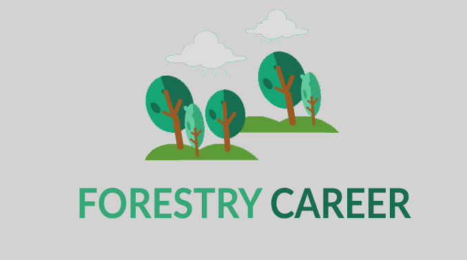 Forestry Career