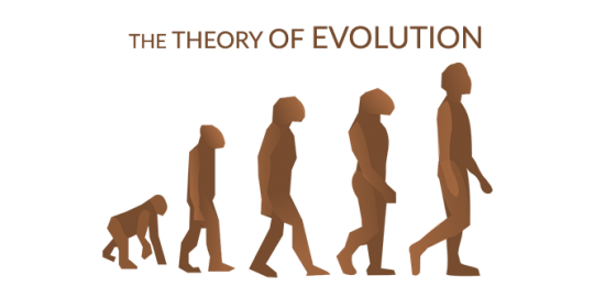 theory of evolution by natural selection