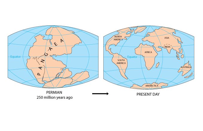 Continental Drift And Plate Tectonics Videos Pronk Planets