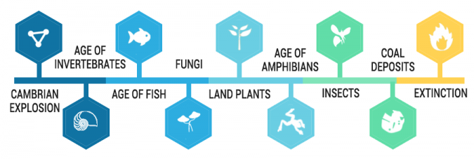 Paleozoic Eon Timeline