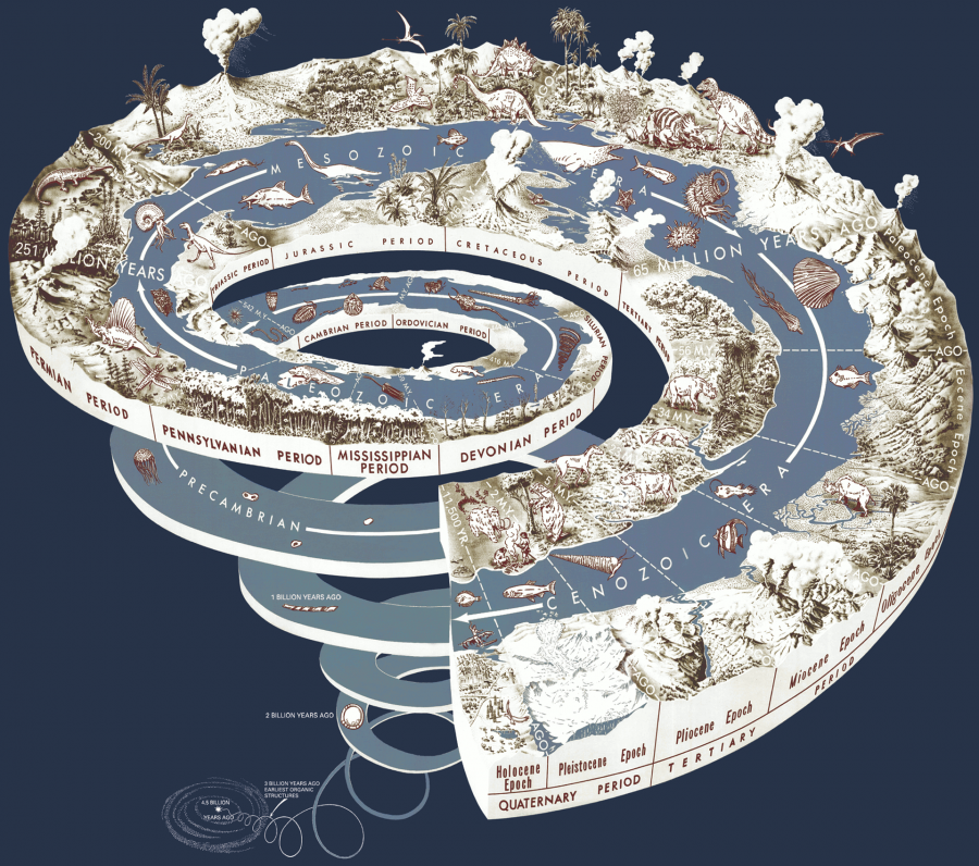 Earth Timeline A Guide to Earth's Geological History and Events