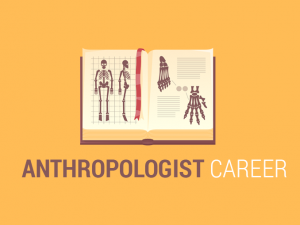Anthropologist Career