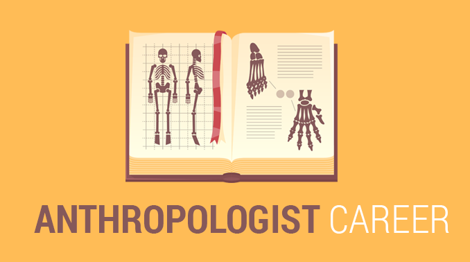 Anthropologist Career