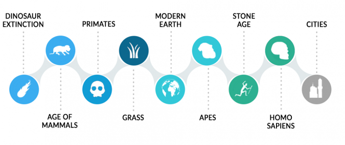 human evolution timeline for kids