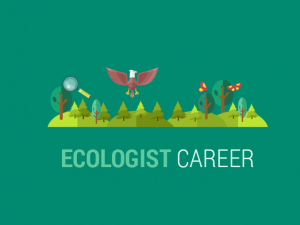 Ecologist Career