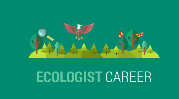 Ecologist Career