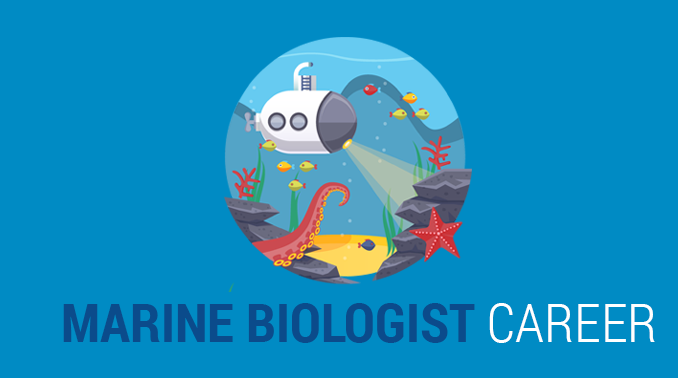 Marine Biologist Career