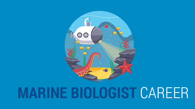 MARINE BIOLOGIST CAREER: Explore and Adventure the Oceans - Earth How