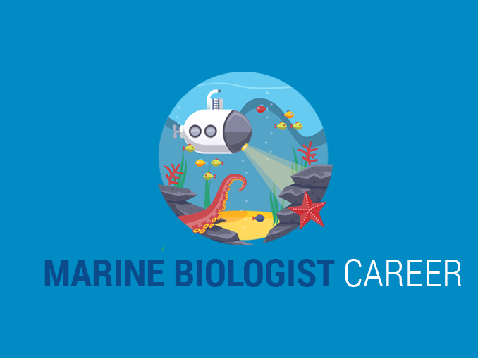 Marine Biologist Career: What Do Marine Biologists Do? - Earth How