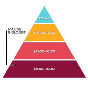 oceanographer salary