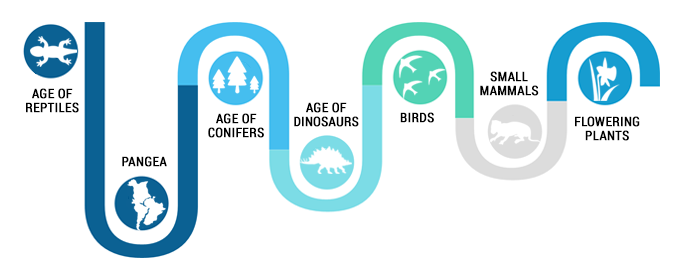 Mesozoic Era Timeline