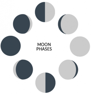 Moon Phases All