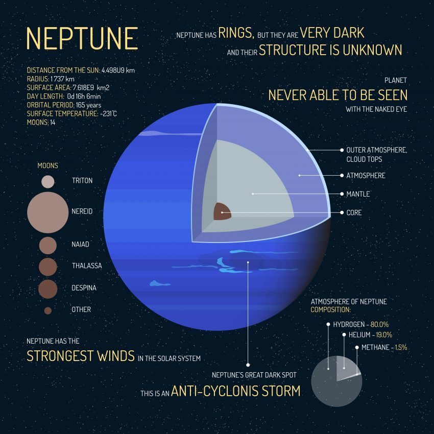 Neptune Infographic