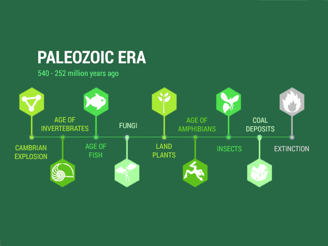 Paleozoic Era: Diversification of Life (540 to 252 million years ago ...