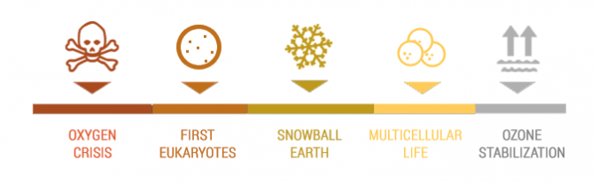 earth-timeline-a-guide-to-earth-s-geological-history-and-events