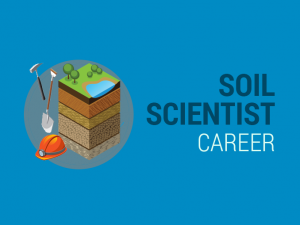 Soil Scientist Career
