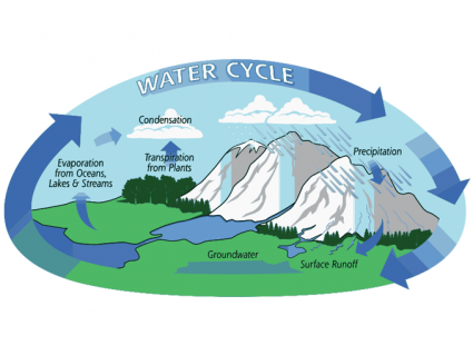 What is the Hydrologic Cycle? 3 Steps of the Water Cycle