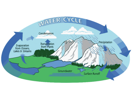 Hydrological Cycle