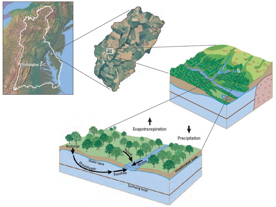 Watershed Water Cycle