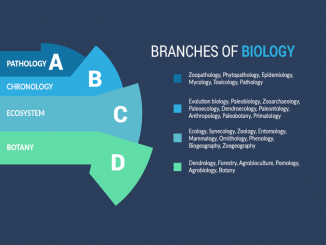 Branches of Biology