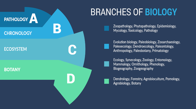 Branches of Biology