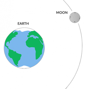 moon interesting facts is the earth round or flat