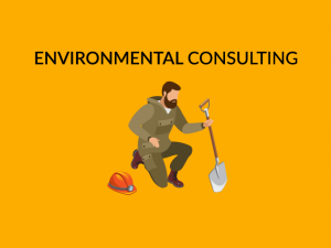 Environmental Consulting Career