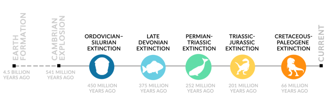 5 Mass Extinctions Timeline