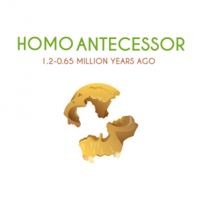 Homo Antecessor
