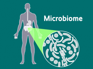 Human Cells vs Bacteria: Microbiota in Your Body