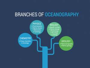 Branches of Oceanography