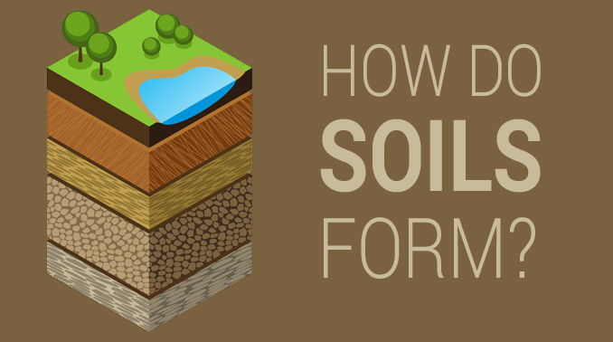 5 Soil Formation Factors How Rocks Weather into Dirt Earth How