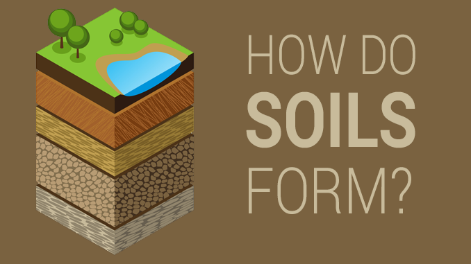 Soil Formation Soil Formation