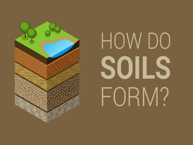 Explainer: What makes dirt different from soil