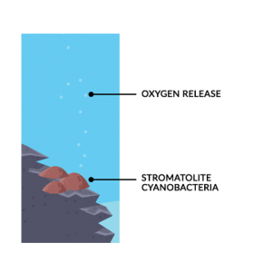 Great Oxygenation Event