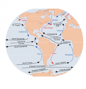 Ocean Current Circulation