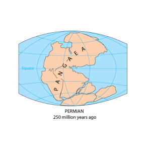 Supercontinent Cycle