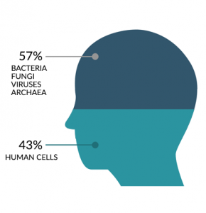 Bacteria Human Cells Body