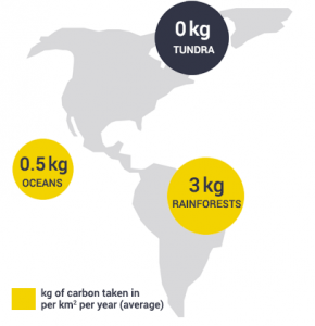 Earth Metabolism